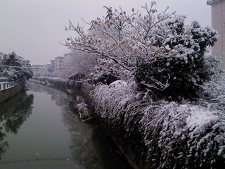 DSC00151.JPG