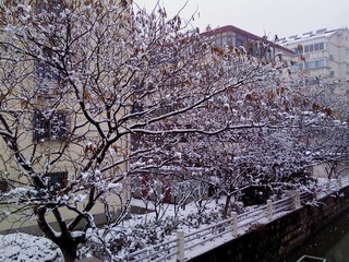 DSC00154.JPG