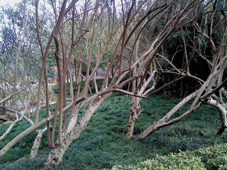 DSC00203.JPG