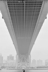 DSQ_7235.jpg