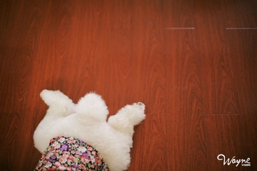 2013.06.16-03.jpg