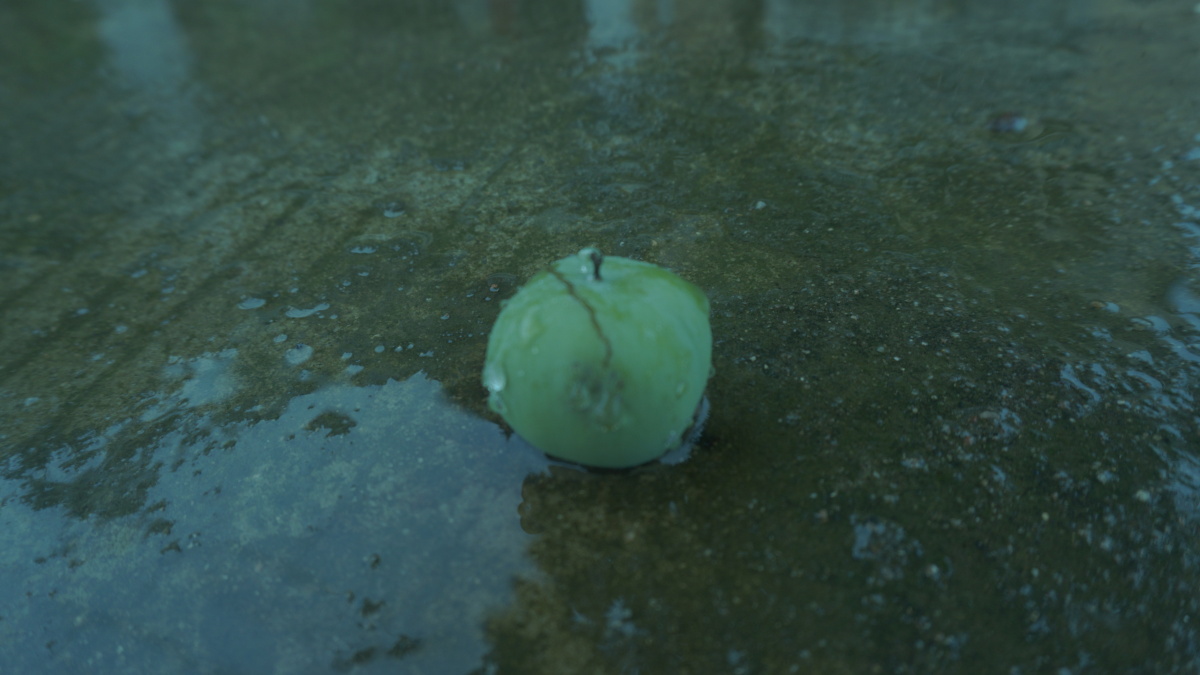 第一次拍雨景雨让世界有了不一样的质感