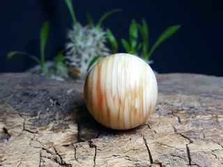3696
