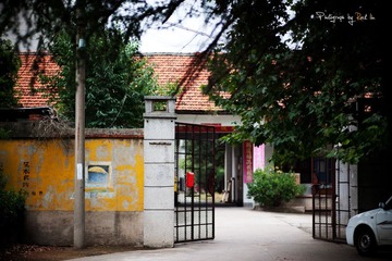 _DSC1523_!