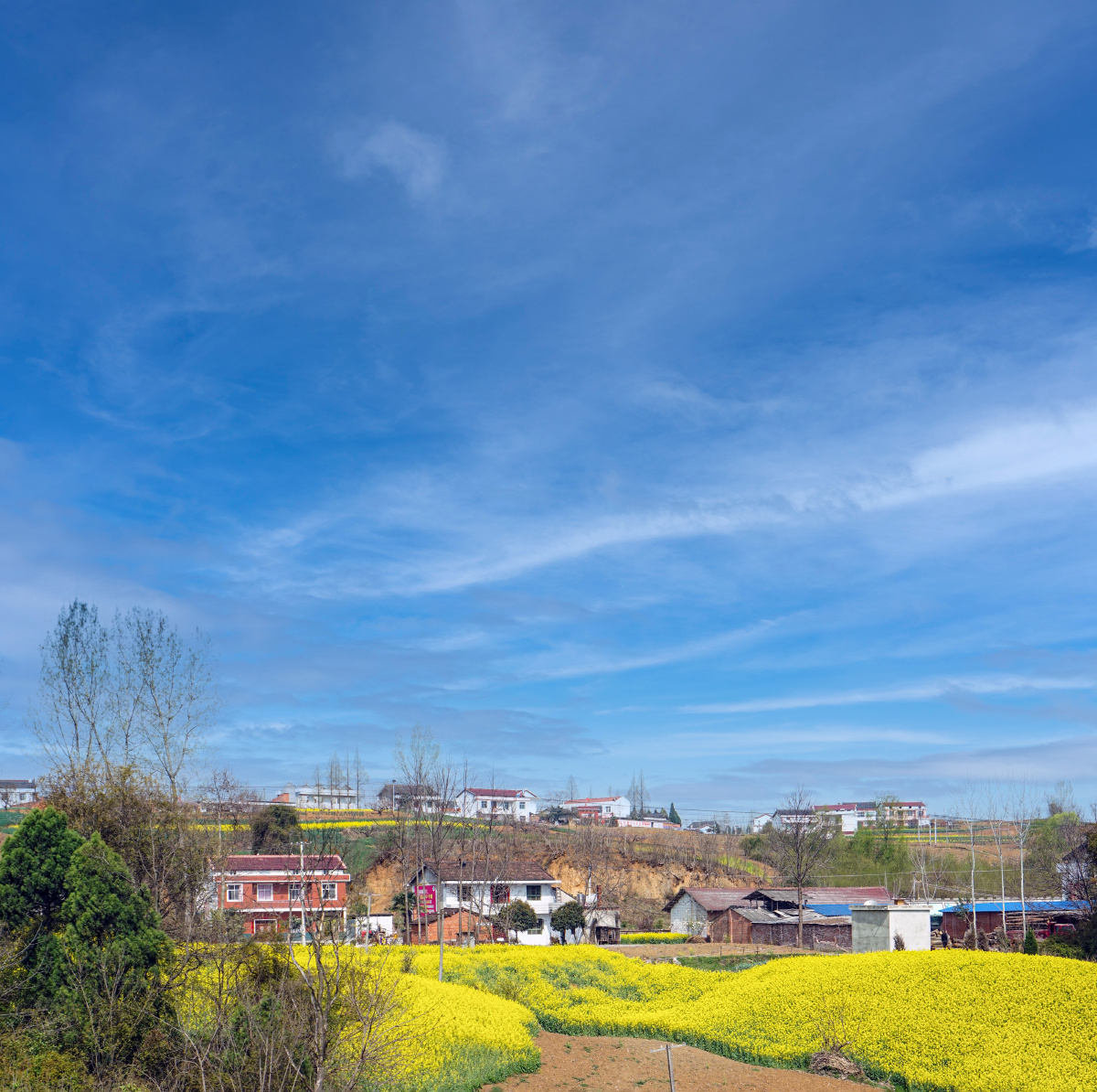 陕西汉中乡村春色