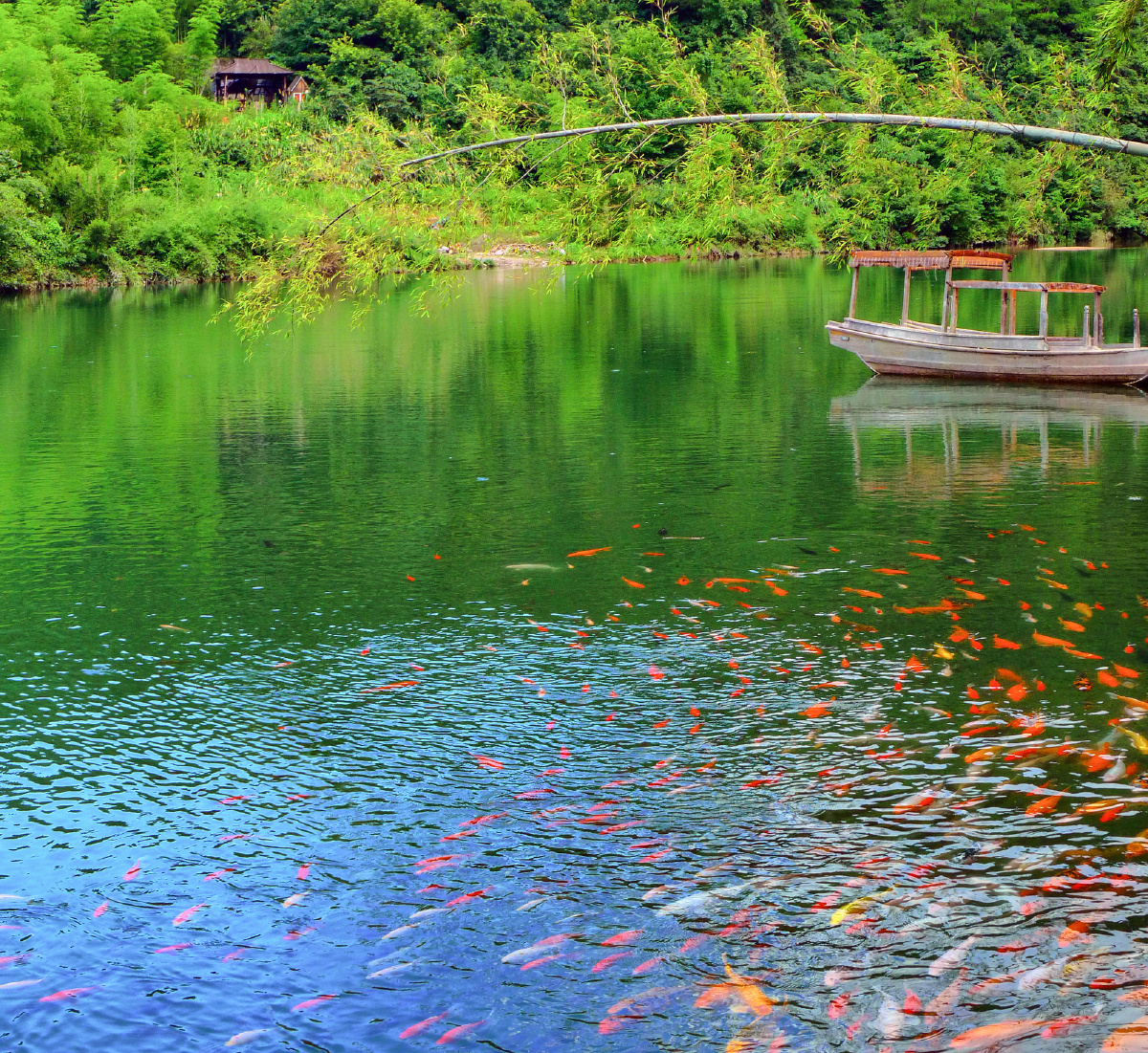 黄山芙蓉谷,水库湖水,旅游景区 - 晓舟摄影 - 图虫