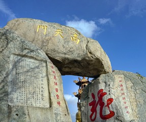 L1135676