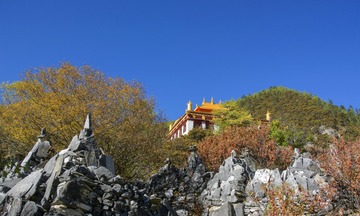 A6534593