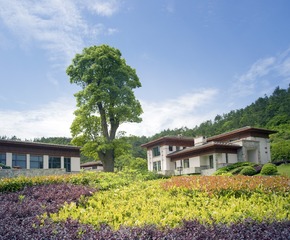 A6532532