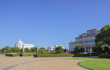 A6533984