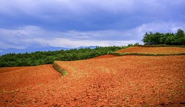 A6533344
