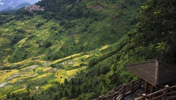 A6533517