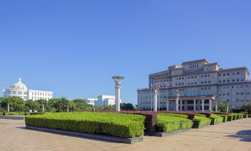 A6533982
