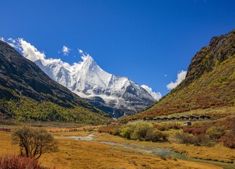 A6534617