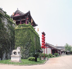 P5244293