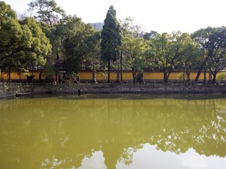 A6535177