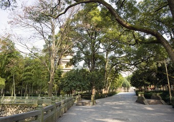 A6535139