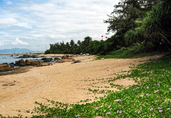 P9132602