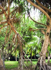 P9132603