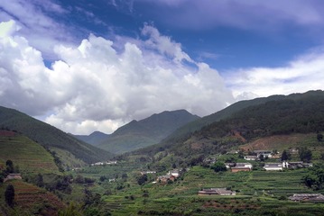 L1132417