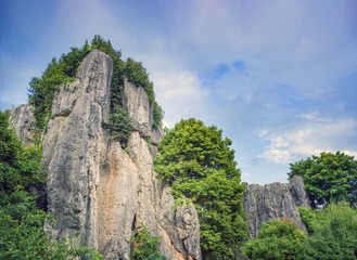 A6533653