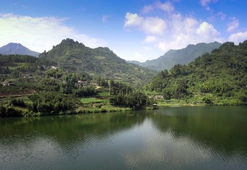 L1134970