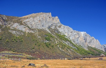 A6534597