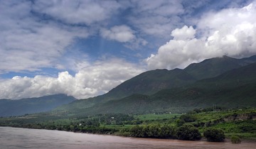 L1133241
