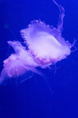 P1090833