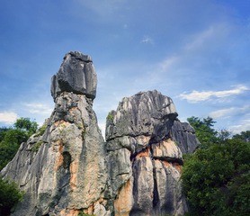 A6533665