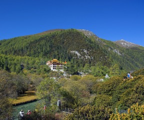 A6534595