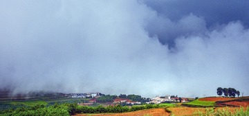 A6533414