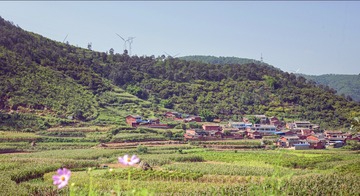 A6534261