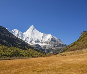 A6534609