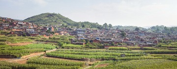 A6534207