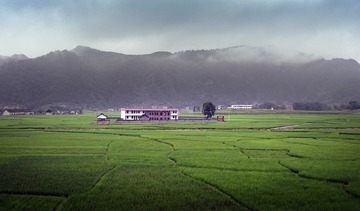 L1131831