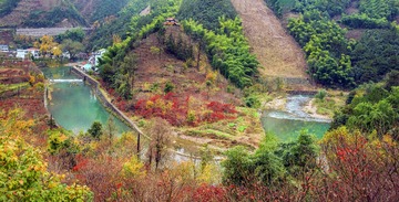 A6533868