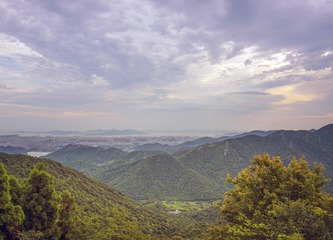 A6532728