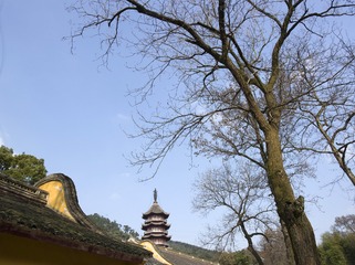 A6535184