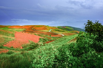 A6533373