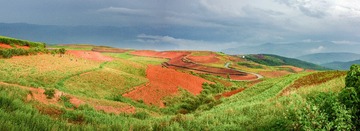 A6533366