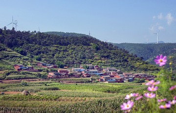 A6534262