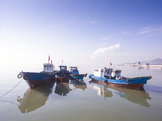A6535365