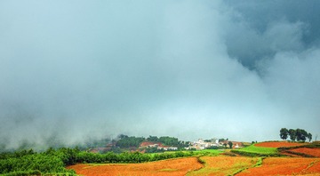 A6533416