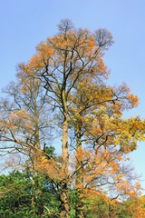 L1203088