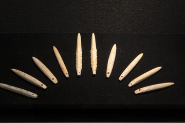 P1120550