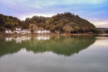 P2131131