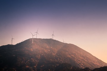 太阳岭