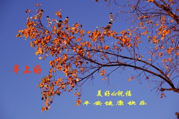 0B04629A-D142-4546-B218-A4E0DAF7C89F/L0/001