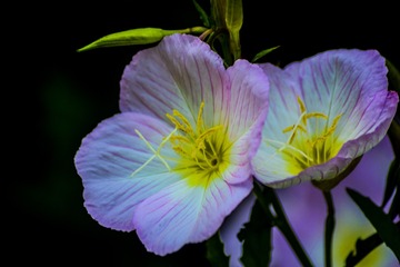 001